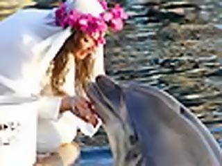 В Израиле состоялось необычное бракосочетание - свадьбу сыграли 41-летняя миллионерша Шарон Тендлер из Лондона и 35-летний дельфин Синди