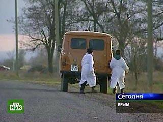 Мертвые птицы найдены на автотрассе на Симферополь в районе села Верхнесадовое. Пока это единственный случай выявления вируса H5N1 в районе Севастополя