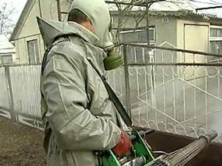 В детском саду Севастополя обнаружен "птичий грипп"