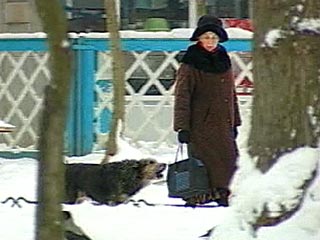 Сковавшие Москву морозы могут вызвать агрессию у бездомных собак. Наступившие холода повысили уровень активности у бродячих животных, считает зоопсихолог Андрей Неуронов