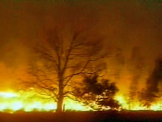 Четыре австралийских штата - Виктория, Южная Австралия, Западная Австралия и островная Тасмания охвачены пожарами