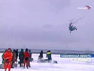 Все 312 рыбаков спасены с двух льдин, отколовшейся от восточного берега Сахалина