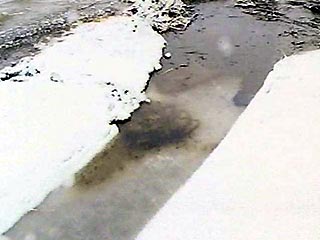 В Удмуртии из-за аварии разлилось 50 тонн нефти, часть которой попала в приток реки Вятка