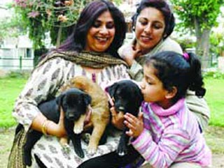 В индийском обществе новым статусным символом стали дорогие собаки престижных пород