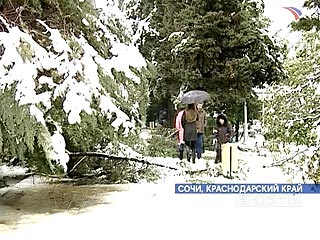 В Сочи из-за снега и штормового ветра без электричества остаются 5 населенных пунктов