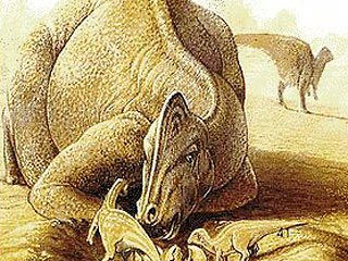 Утконосые динозавры, обитавшие на Земле около 90 млн лет назад, использовали свои большие и сложно устроенные гребни для общения, а также для привлечения сексуальных партнеров