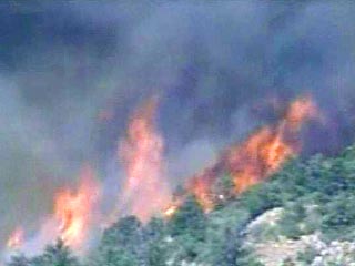 В США в штате Калифорния бушуют лесные пожары. Уже эвакуированы жители 1500 домов в районе Оранж. Огнем уничтожено 480 гектаров леса