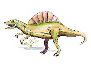 Спинозавр, останки которого были обнаружены недавно, был длиной 56 футов (17,1 метра) и весил 8 тонн. На его фоне все остальные крупные плотоядные выглядели карликами