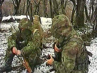 Хорошо укрепленная база боевиков ликвидирована в горах на юге Чечни, сообщил "Интерфаксу" в воскресенье министр внутренних дел республики полковник Руслан Алханов