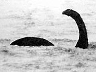По словам Нила Кларка, куратора палеонтологического отдела музея Университета Глазго, необъяснимые факты наблюдений чудовища в районе озера Лох-Несс на самом деле могли быть связаны со слонами