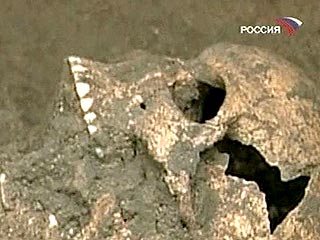 На Украине местный житель, затеявший ремонт, обнаружил скелет человека