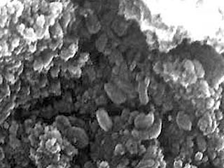 Микроскопические туннели обнаружены американскими учеными в марсианском метеорите Нахла, упавшем в Египте в 1911 году. Эти "ходы" очень напоминают по размеру, форме и распределению те, что создают в камнях бактерии на Земле