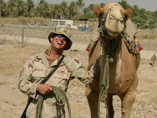 Саддам Хусейн собирался атаковать американцев верблюдами-камикадзе