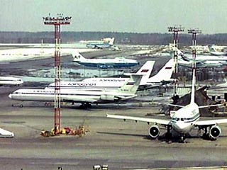 Московские аэропорты от перелетных птиц защитят "птицеотпугиватели" и ястребы-тетеревятники