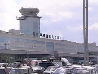 В аэропорту "Домодедово" задержана прибывшая из Таиланда гражданка России, пытавшаяся провести несколько килограммов психотропных таблеток