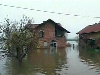 Вода в Дунае в районе Белграда накануне поднялась почти до восьми метров, что считается рекордным показателем