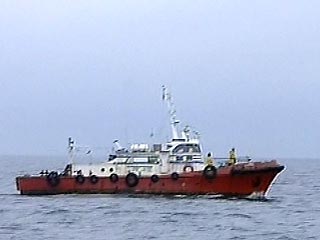 В Черном море в районе катастрофы самолета А-320, в результате которой погибли 113 человек, в четверг утром активизировалась поисковая операция. Из Сочинского морского порта к месту происшествия подошла морская группировка из 18 судов и 11 катеров