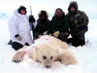 Проводник Роджер Куптана из поселения Сакс Харбор в Северо-западных территориях Канады был первым, кто предположил, что странно выглядящий медведь, застреленный в апреле американскими охотниками, был наполовину полярный медведь, наполовину гризли