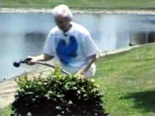 74-летняя американка отбилась от аллигатора с помощью садового шланга