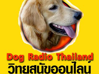 В Таиланде появилось радио для собак