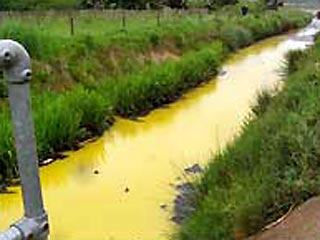 Река Парретт у британского города Бриджуотер (графство Сомерсет) приобрела ярко-желтый цвет, после того как 8000 литров отходов, образовавшихся при производстве апельсинового сока, попали в воду
