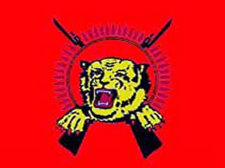 ЕС решил объявить террористической группировку "Тигры освобождения Тамил Илама" из Шри-Ланки