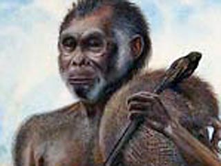 Когда в 2004 году на индонезийском острове были обнаружены кости некоего существа ростом всего 3 фута (1 м), возраст которых составил около 18 тыс. лет, событие назвали самой значительной находкой ископаемых за последние 150 лет