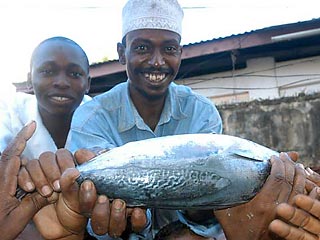 В Кении похищена уникальная рыба с отрывком из Корана на чешуе