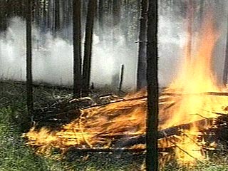 Лесные пожары спровоцировали чрезвычайную ситуацию в трех районах Иркутской области