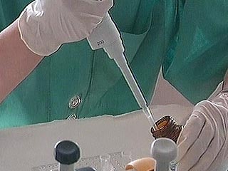 В России начались испытания вакцины от "птичьего гриппа" на добровольцах