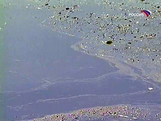 Два крупных нефтяных пятна обнаружены на реке Ижора в пригороде Петербурга. Одно пятно размером 100 на 300 метров остановилось в Ижорском пруду в городе Колпино. Второе движется дальше по течению