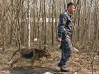 Очередное убийство совершено на западе Москвы, в лесном массиве, примыкающем к Битцевскому лесопарку