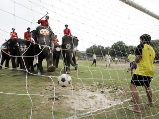 ЧМ-2006 вдохновил таиландцев на проведение матча между людьми и слонами