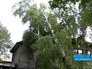 Ураган нанес серьезный урон энергоснабжению Архангельской области