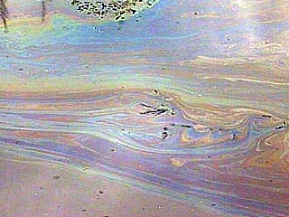 В Архангельске на реке Кузнечиха обнаружено большое нефтяное пятно