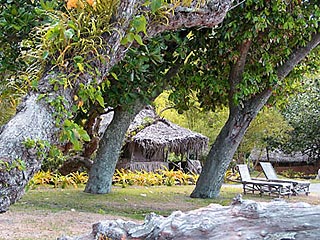 Самая счастливая страна в мире &#8211; это островное государств в южной части Тихого океана под названием Вануату