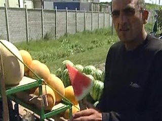 В Москве запретили торговать арбузами и дынями на голом асфальте и разрезать их при продаже