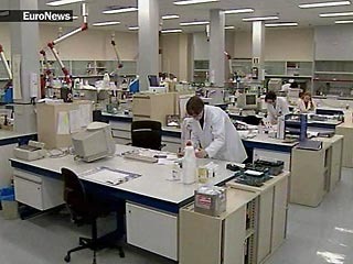 Евросоюз, в отличие от США, разрешил исследования стволовых клеток человека