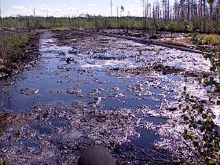 В Брянской области из-за разлива нефти возникла угроза экологической катастрофы