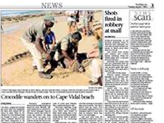 На отдыхающих на пляже в ЮАР из океанской волны бросился 3-метровый крокодил