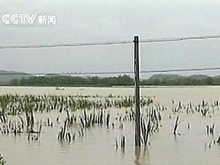 Число жертв тайфуна "Прапирон" на юге Китая возросло до 38 человек, еще 14 считаются пропавшими без вести, сообщает в субботу китайское информационное агентство Синьхуа