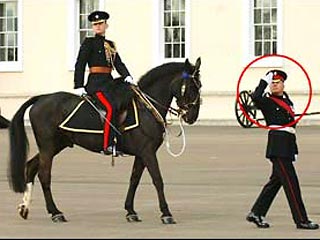 Британских принцев в военной академии унижал сержант по прозвищу Херминатор