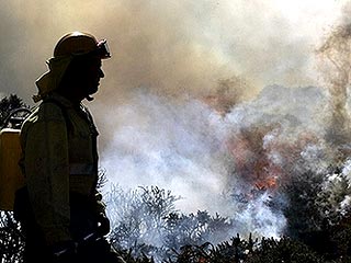 В Испании число лесных пожаров уменьшилось - с огнем борются 15 тысяч пожарных