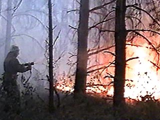 При тушении пожара в Волгоградской области пострадали солдат и лесник