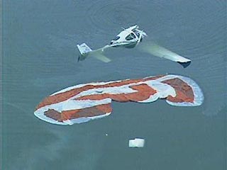 В городе Уэйн (штат Индиана) в городской пруд, расположенный недалеко от жилых домов, рухнул небольшой частный самолет