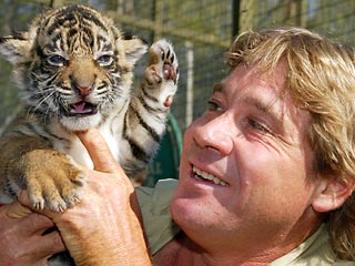 Знаменитый австралийский актер и шоумэн Стив Ирвин погиб во время съемок очередного фильма о животных