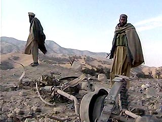 В Афганистане в ходе операции "Медуза" за сутки было уничтожено 92 боевика