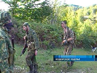 В Кодорском ущелье произошло столкновение грузинской полиции с вооруженными сторонниками мятежного Эмзара Квициани