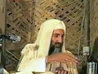 Бен Ладен умер от тифа, считают спецслужбы Франции