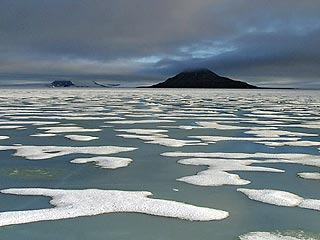 В США опубликованы сенсационные результаты наблюдения за Арктикой. Согласно данным, полученным с космического спутника, за период с 2004 по 2005 год в Арктике растаяли льды площадью